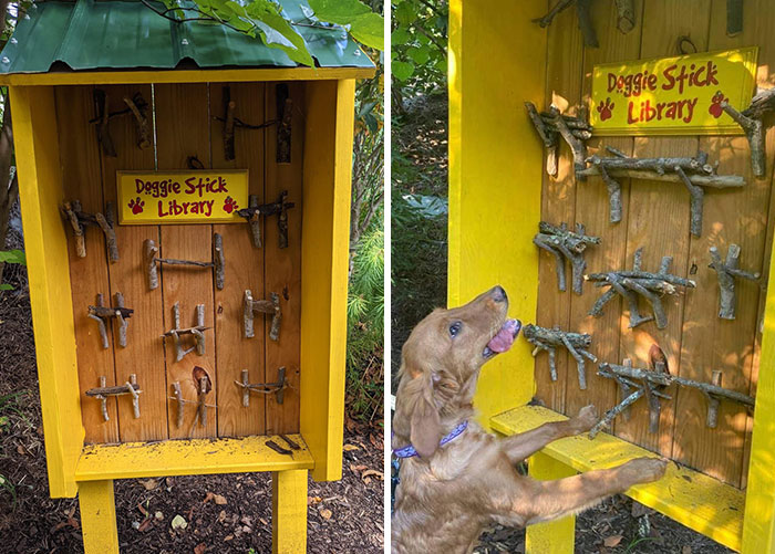 Encontré una pequeña biblioteca gratuita para perros