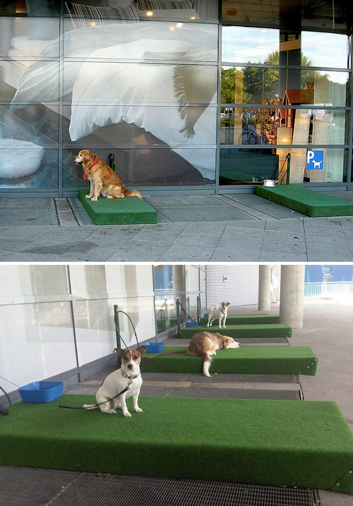 Este IKEA tiene una estación de estacionamiento para perros para que guardes a tu mascota mientras compras y no sufran por el calor mientras espera en tu coche