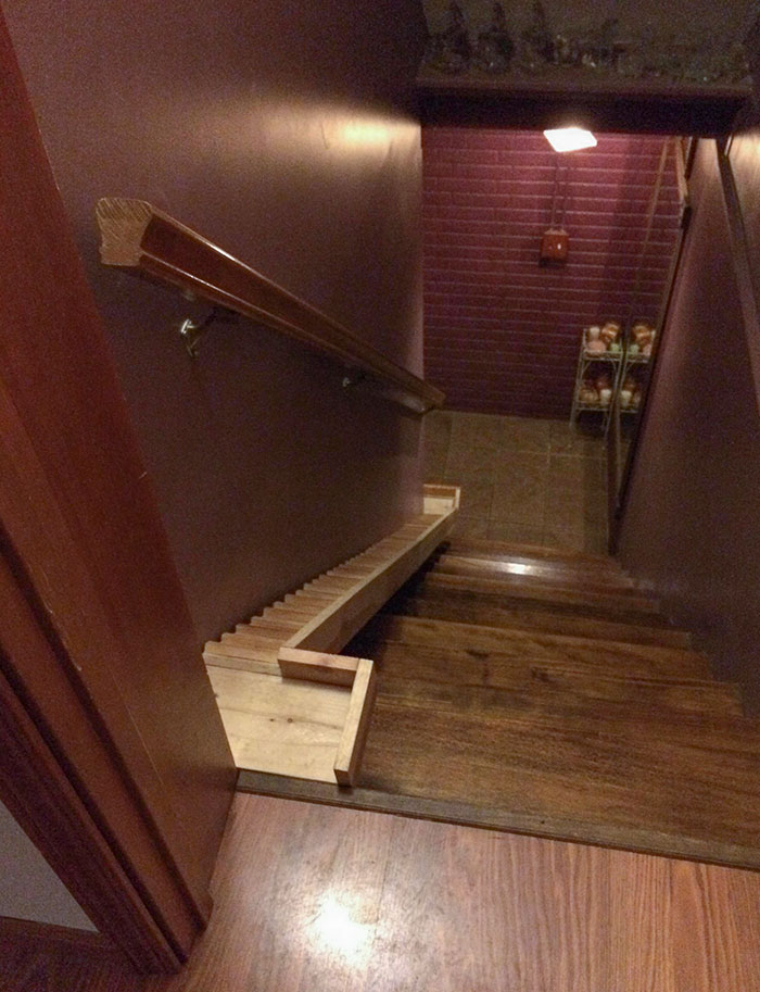 Mi tío construyó unas escaleritas para su perrito
