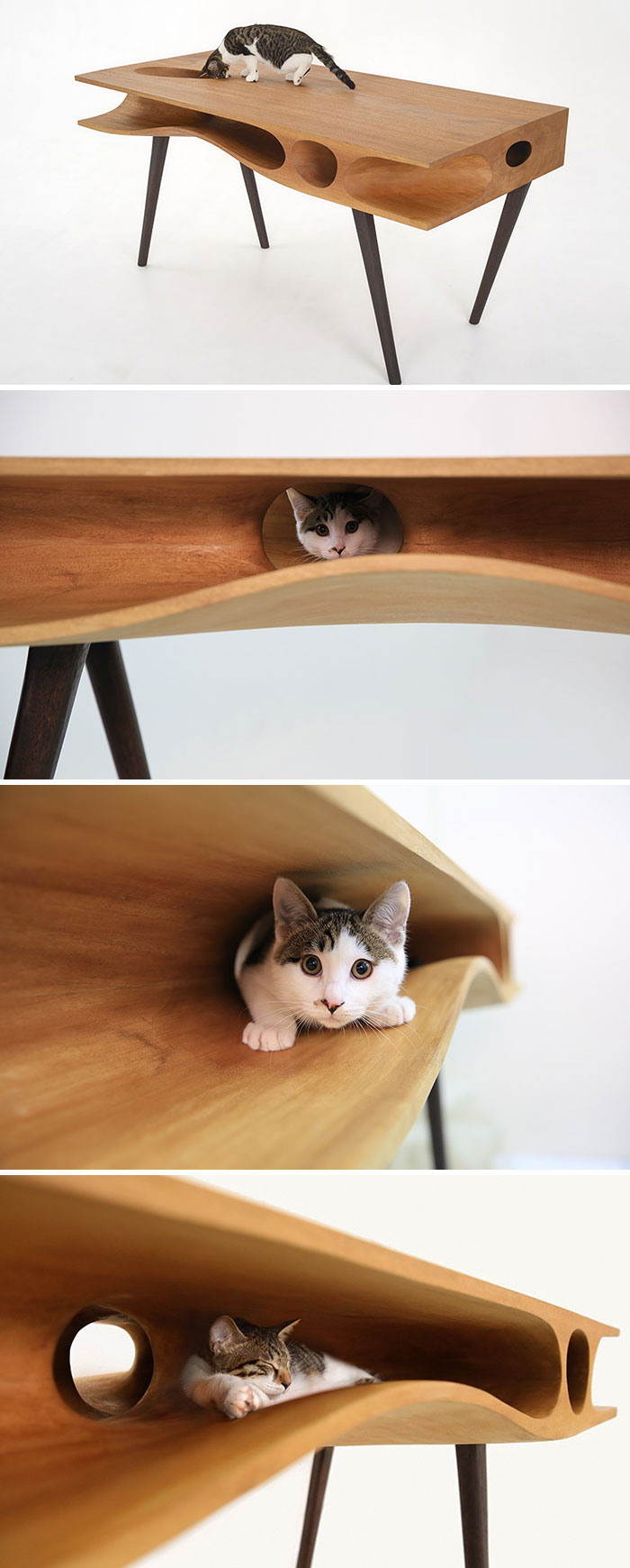 La solución para mantener a tu gato alejado de tu ordenador portátil
