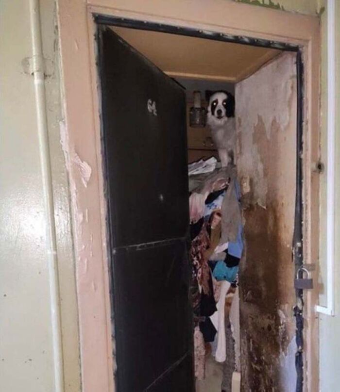 Apparently, There's A Dedicated Twitter Page Called "Cursed Images" And Here Are 30 Of The Weirdest Photos Posted On It