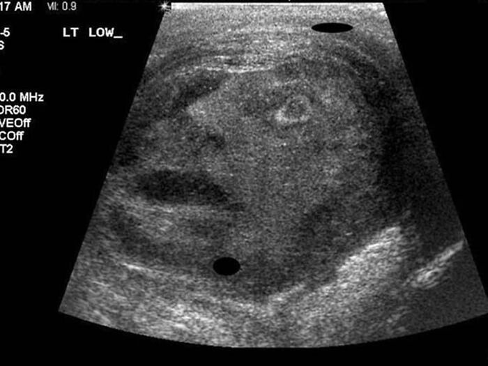 Apparently, There's A Dedicated Twitter Page Called "Cursed Images" And Here Are 30 Of The Weirdest Photos Posted On It