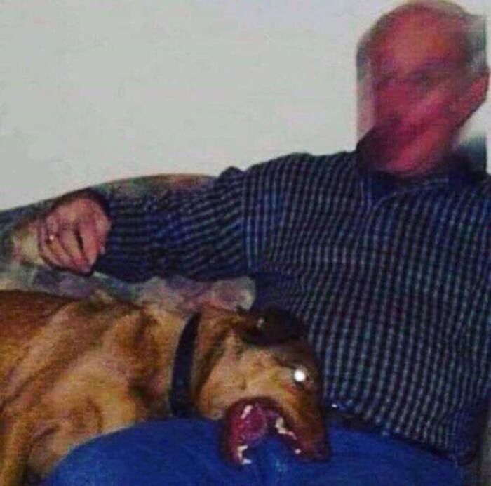 Apparently, There's A Dedicated Twitter Page Called "Cursed Images" And Here Are 30 Of The Weirdest Photos Posted On It