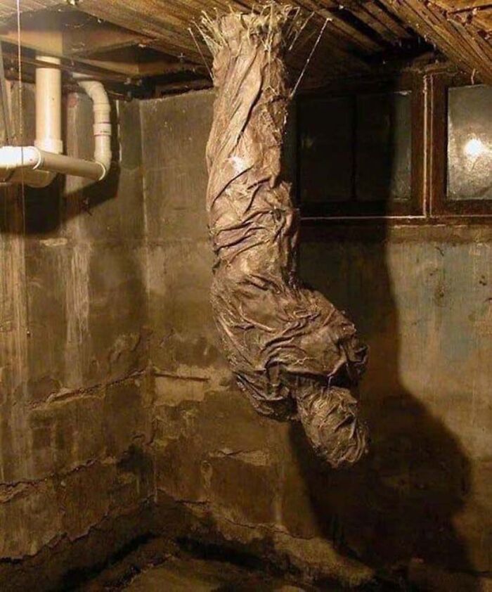 Apparently, There's A Dedicated Twitter Page Called "Cursed Images" And Here Are 30 Of The Weirdest Photos Posted On It