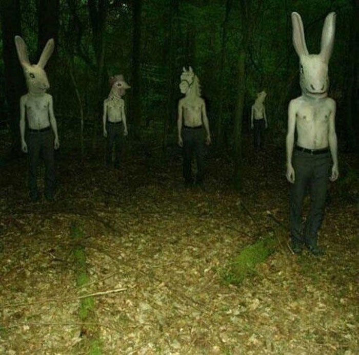 Apparently, There's A Dedicated Twitter Page Called "Cursed Images" And Here Are 30 Of The Weirdest Photos Posted On It