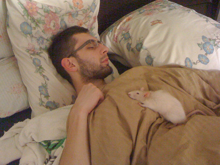 A mi Willow no le quedan muchos días de vida, así que puede dormir aquí lo que quiera