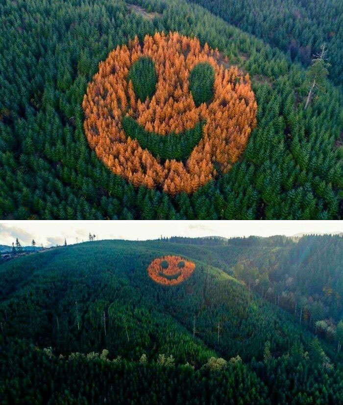 'O Canada': This Online Page Shares Memes About Life In Canada That Sum Up The Country Perfectly