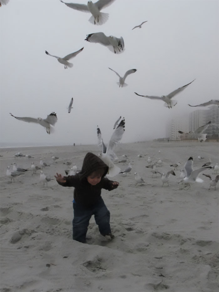 Esto es lo que ocurre cuando intentas sacar una buena foto en la playa