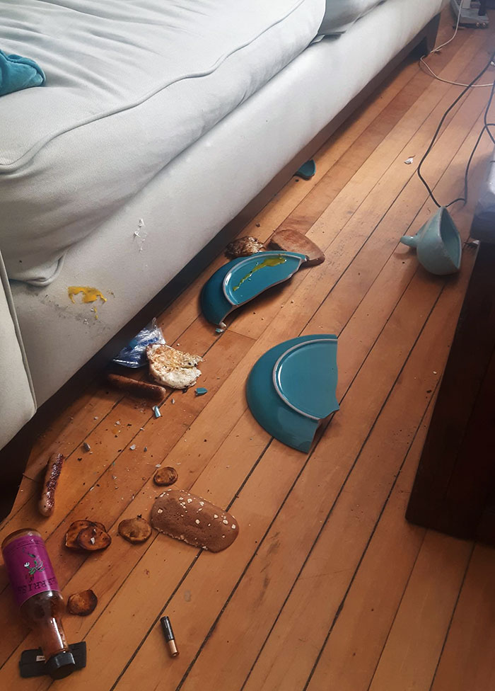 No suelo hacerme el desayuno, pero decidí darme un gusto esta mañana. Tuve que tomarme unos 15 minutos para calmarme antes de poder limpiarlo. Sentí tanta furia