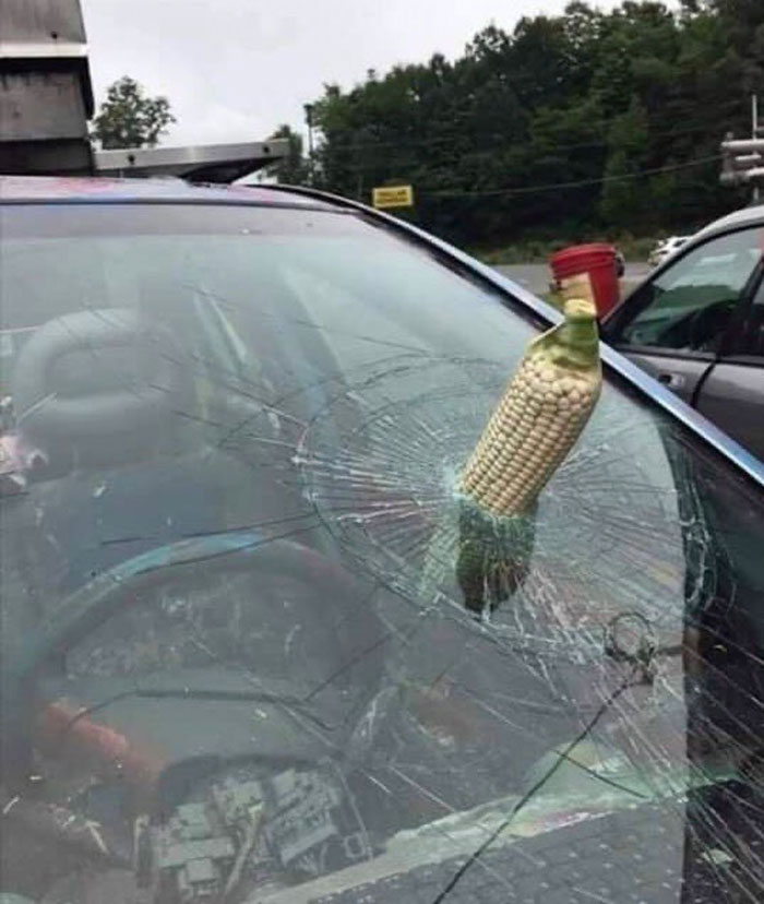 This Instagram Page Is Sharing Cursed Images And Here Are 50 Of The Best Of The Worst Ones