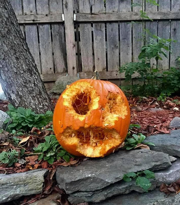 Calabaza tallada de forma natural