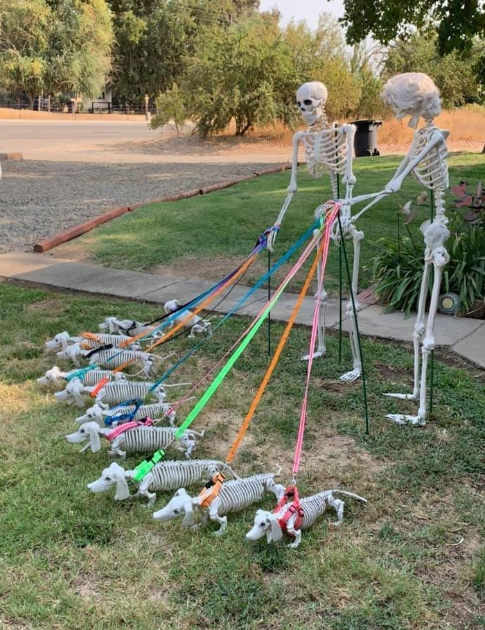 Un sueño de Halloween