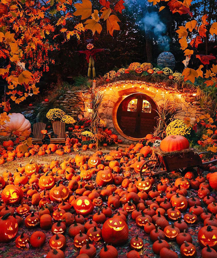 Bienvenido a La Comarca de la Calabaza