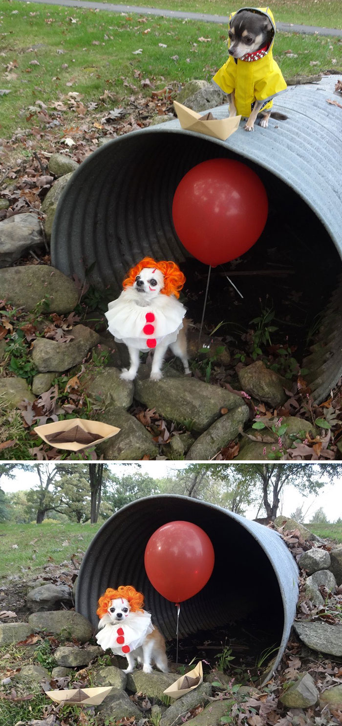 “Todos ladramos aquí, Georgie”
