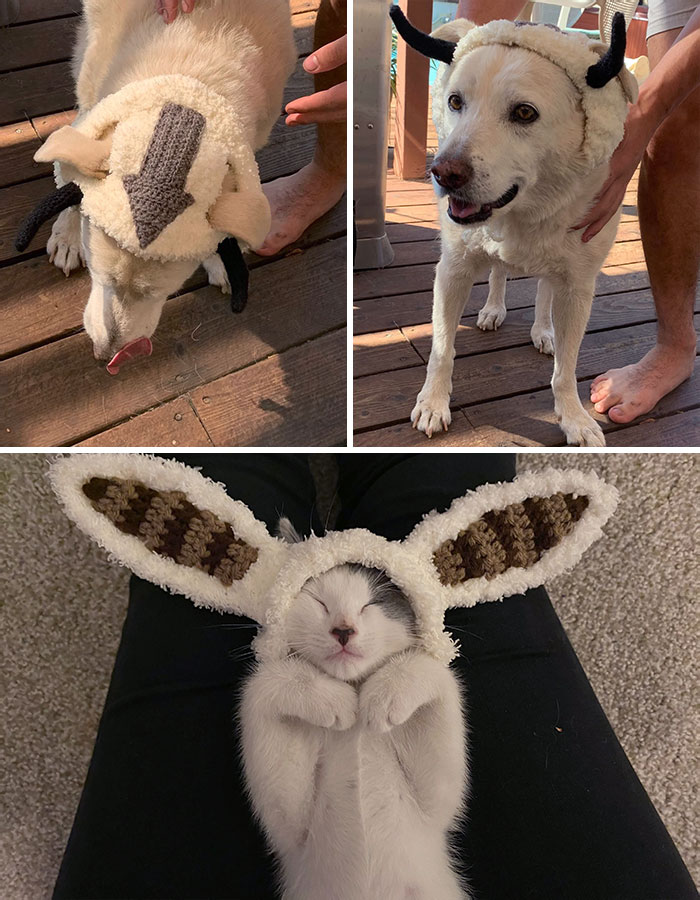 Disfraces para mascotas de Appa y Momo