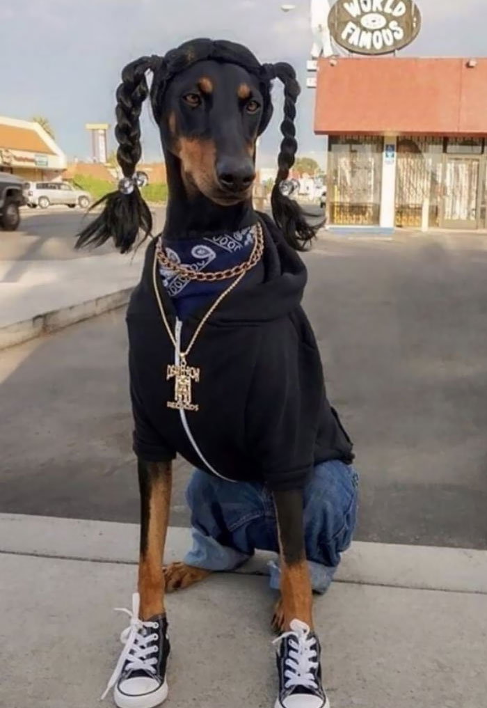  Y el ganador de Halloween de este año