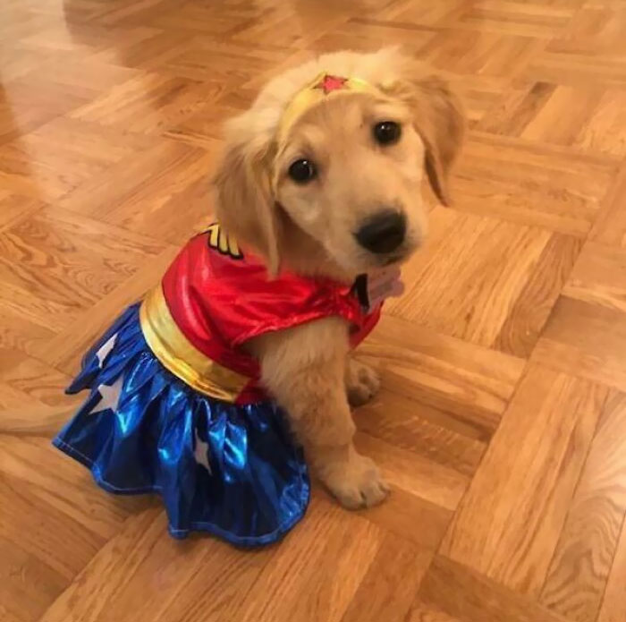  Feliz Halloween