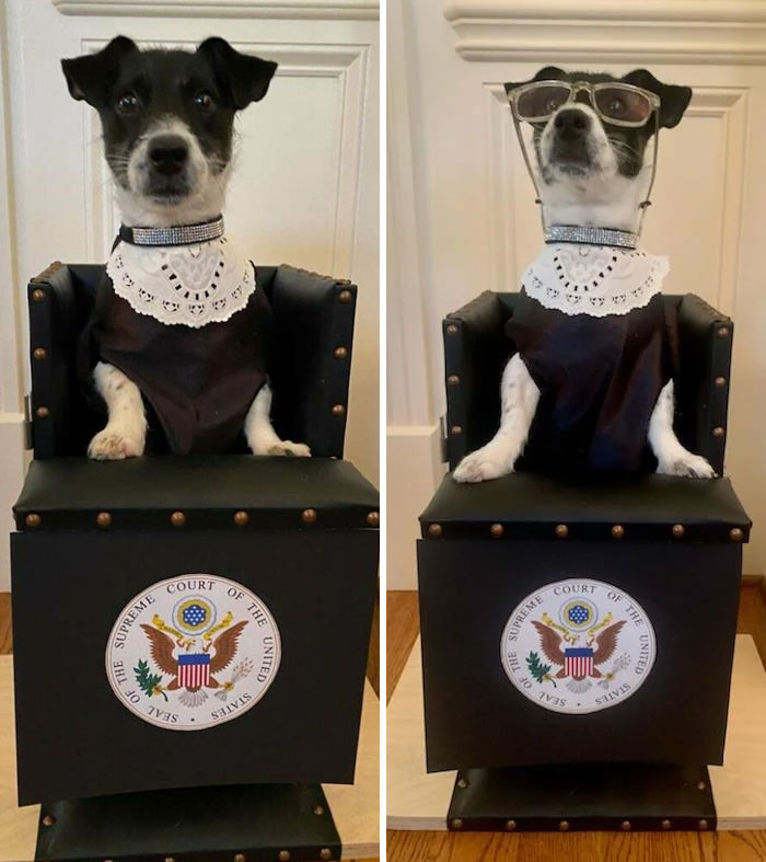 Rosie tiene una enfermedad digestiva que la obliga a tener que comer sentada en una silla especial. Entonces, para Halloween, mi madrastra la transformó en la jueza Ruth Bader Ginsburg