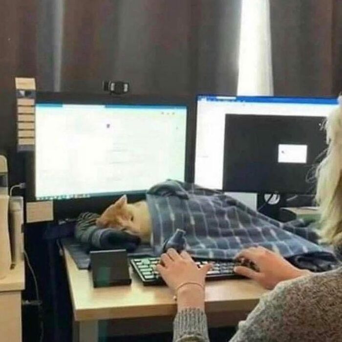 30 Memes For Those Who Are Tired And Feel Like Life Is Overwhelming, Shared By This Instagram Account