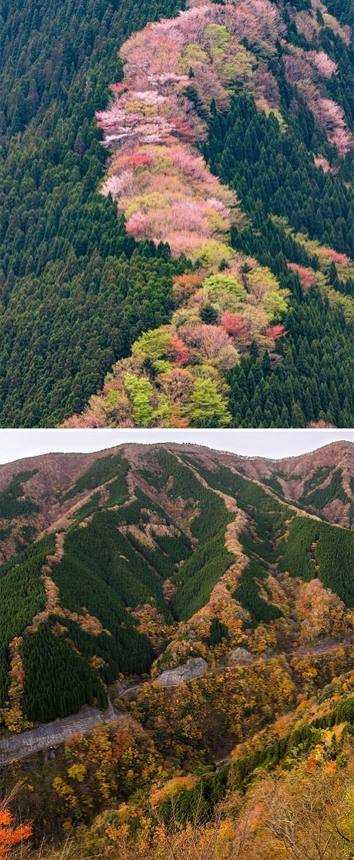 ‘Somewhere I Would Like To Live’: 50 Awesome Places And Homes Around The World That Actually Exist (New Pics)