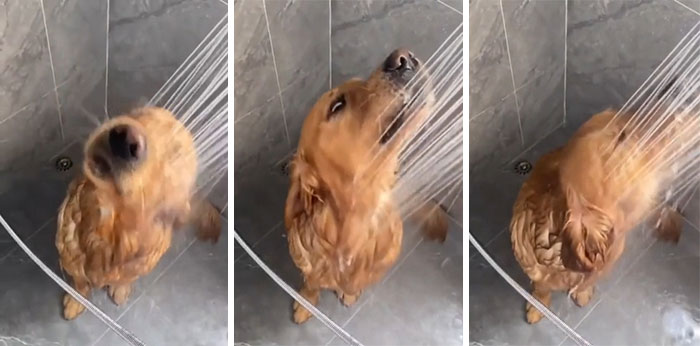 El buen chico disfruta de una ducha después de un día en el parque