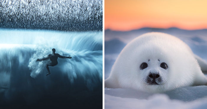 30 De las mejores fotos de los finalistas de los Premios Ocean Photography de 2022