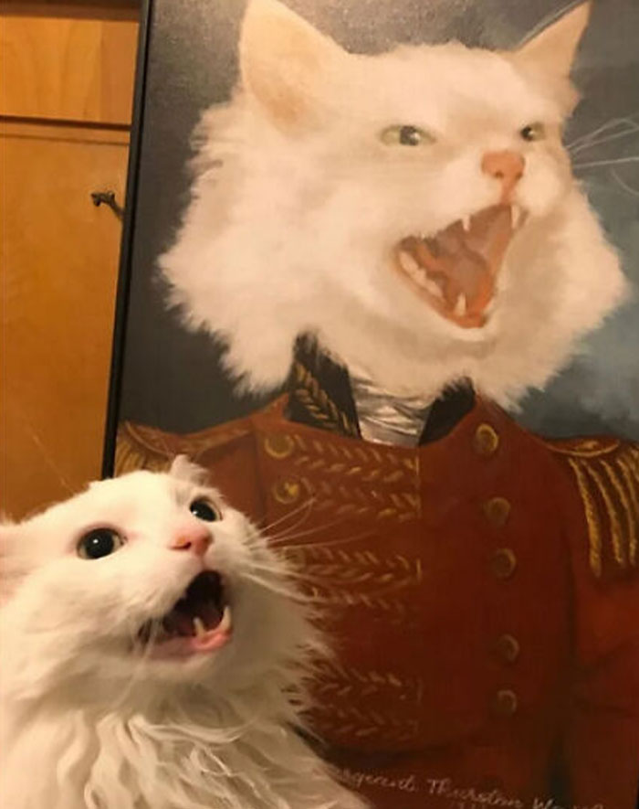 Al menos el "gatito lindo" sonríe más que su pintura