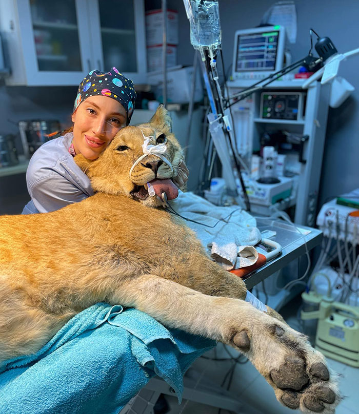 Cosas de veterinarios