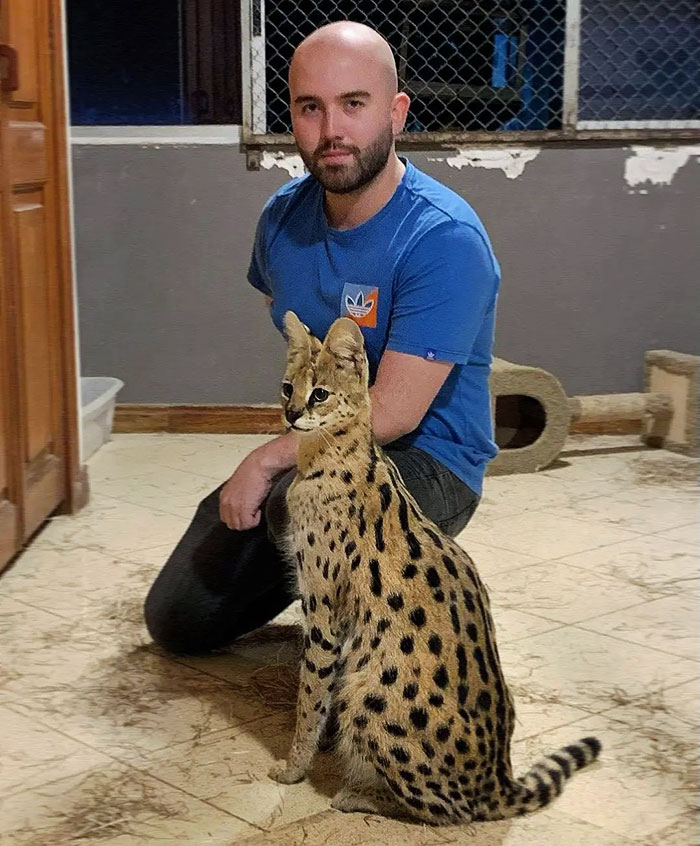 Siempre es un placer cuidar de Kenya