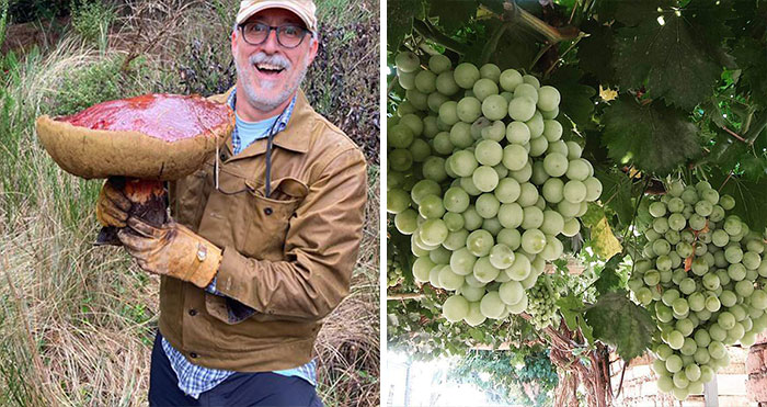 40 Recolectores que encontraron algo increíble en la naturaleza y tuvieron que compartirlo