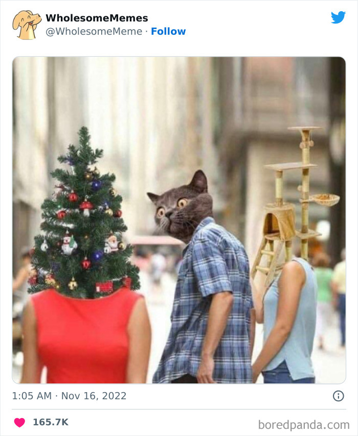 50 Wholesome Memes As Shared By This Page To Brighten Up Your Day (New Pics)