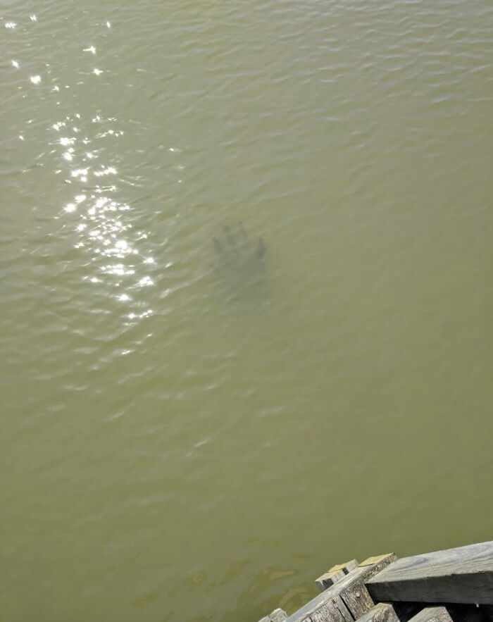 Pieza de muelle antigua que parece una mano. Es más grande de lo que parece