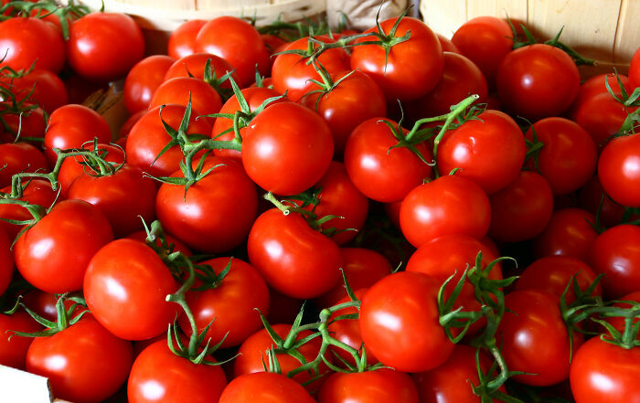 Tomates crudos