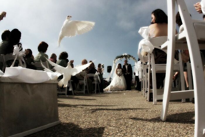 La gente en línea sufre vergüenza ajena por estas 25 cosas en las bodas