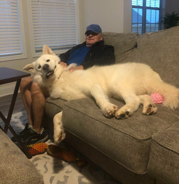 Mi papá y mi alaskan malamute Gideon. Le encanta cuando mi padre visita la casa