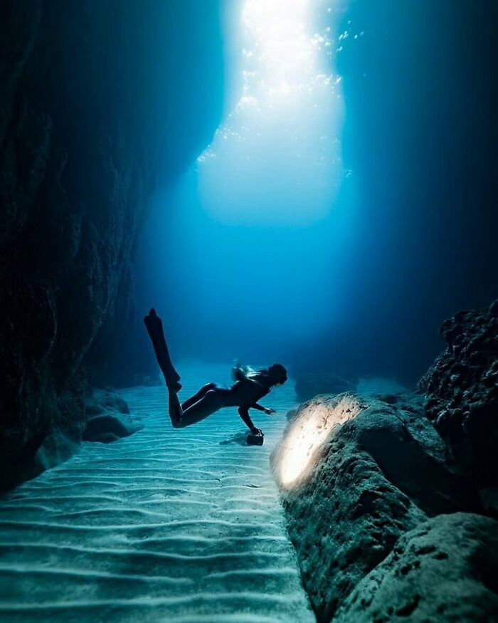 Explorando los misterios del océano