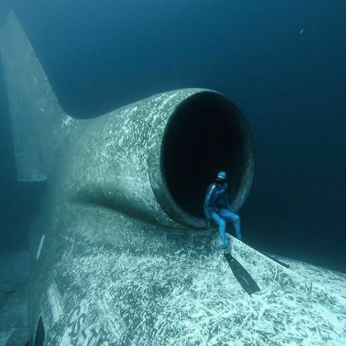 Cuando el miedo a volar y el miedo al agua se encuentran