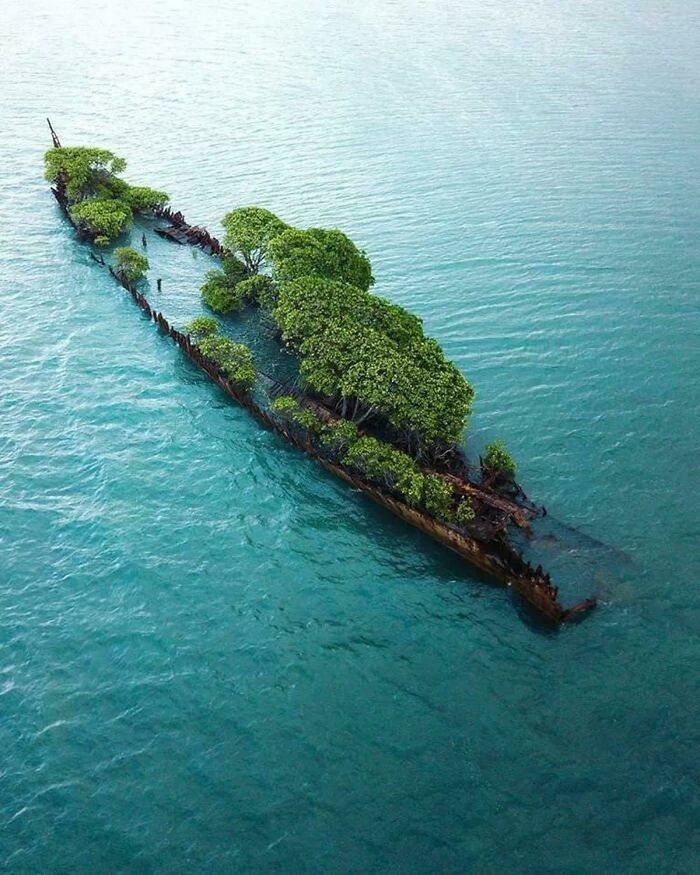 Vi esta foto en Facebook de la página Maravillas del Planeta Tierra. Un Naufragio reclamado por el mar