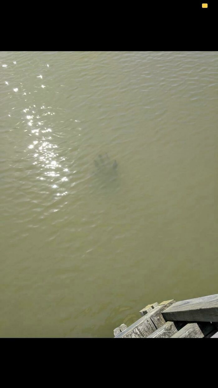 Publicado este en r/Submechanophobia pero pensé que encajaría aquí también. Es un soporte extraño de un muelle destruido que se parece a una mano