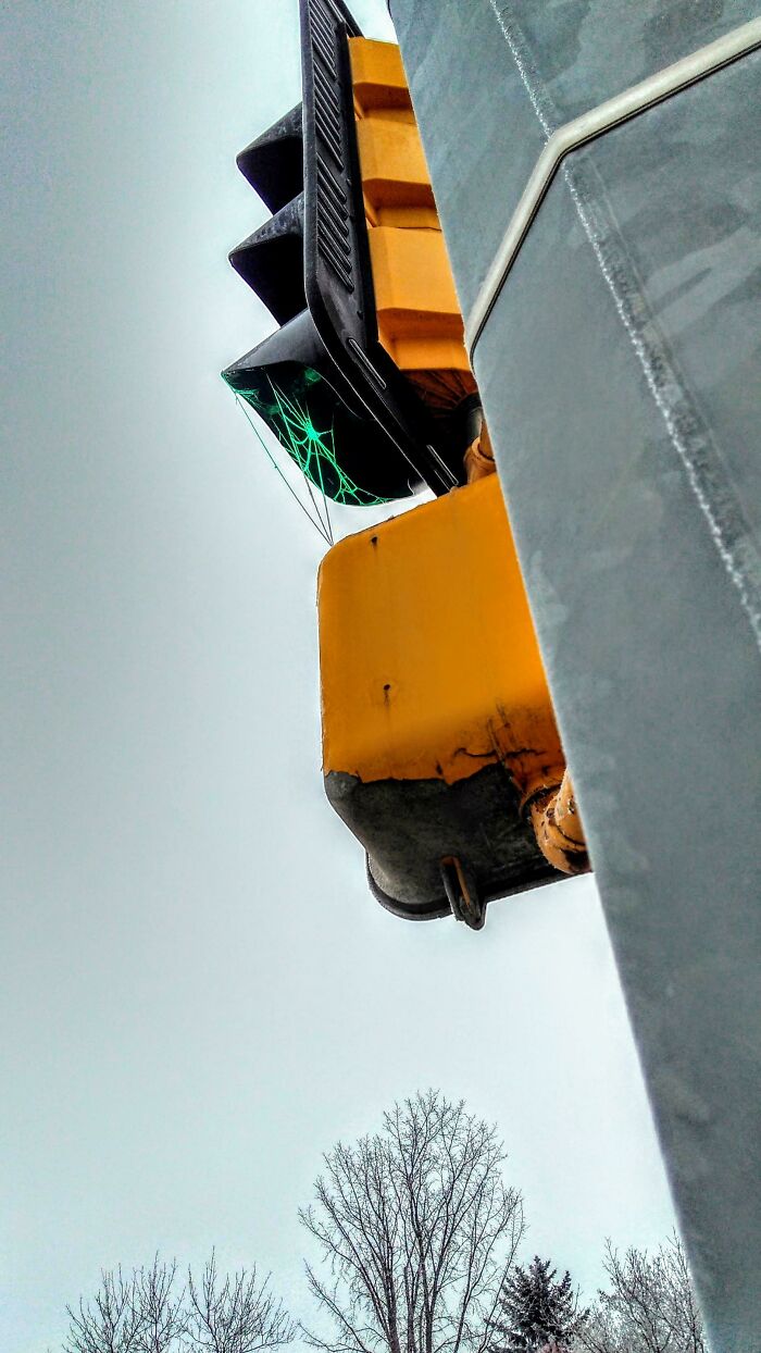 Tomé una foto de una telaraña en un semáforo