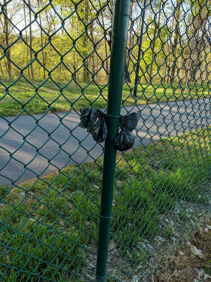 La gente en el parque para perros al que voy es tan perezosa que en lugar de tirar las bolsas con caca al basurero las cuelga en la cerca