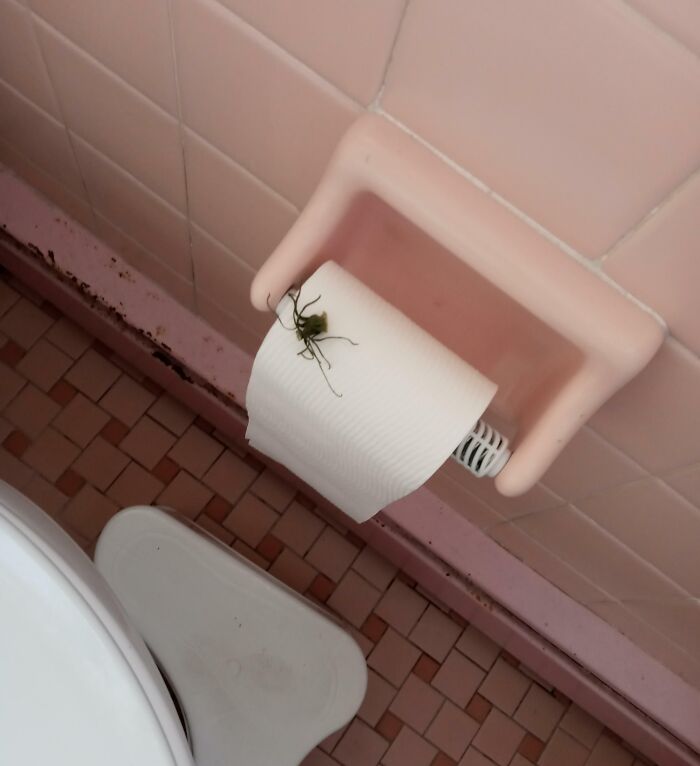 Mi marido dejó esto en el baño para que yo lo encontrara. Es la parte superior de un tomate