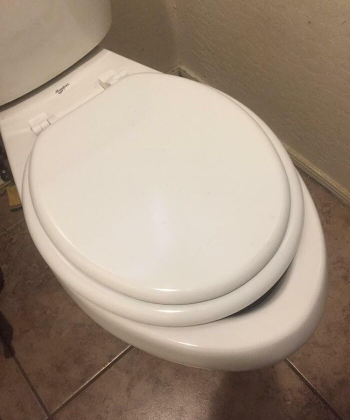 Mi compañero de piso rompió el asiento del inodoro. No hay de que preocuparse. Ya lo reemplazó