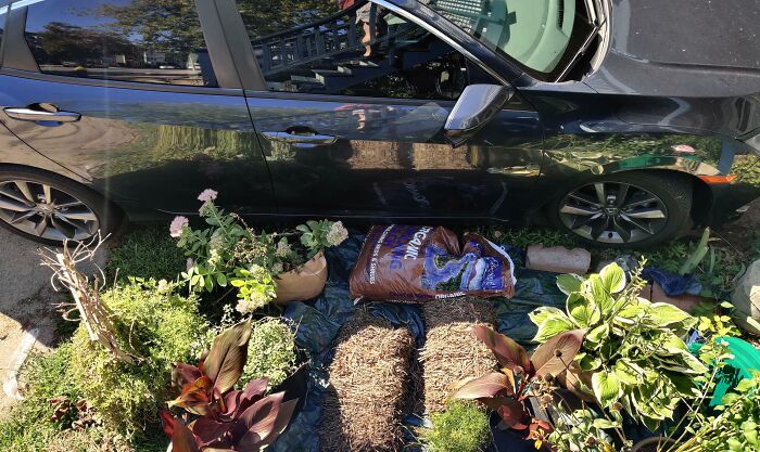 Mi vecina insiste en estacionar su auto en mi jardín en lugar de su entrada para el auto porque es demasiado perezosa como para correr sus cubos de basura