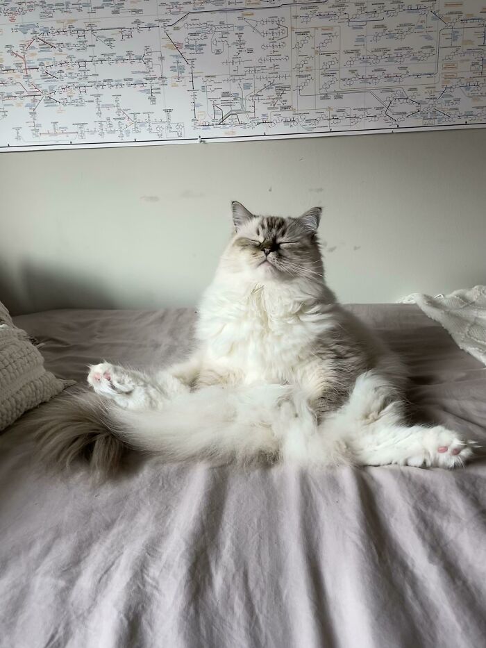 Meditación matutina