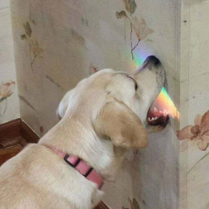 Probando el arcoíris
