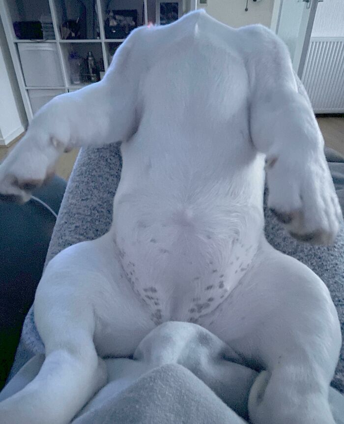 Siestas al estilo del asador
