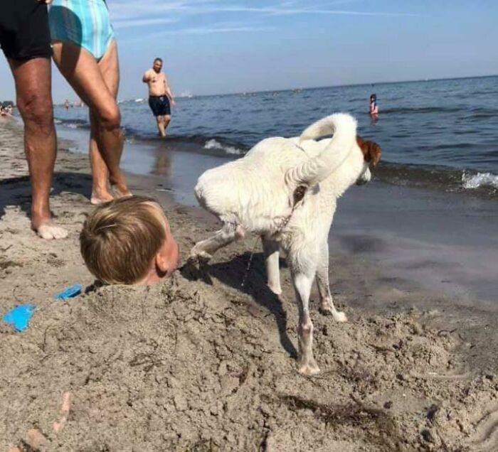 Max suele comportarse muy bien. Él y mi sobrino siguen siendo amigos