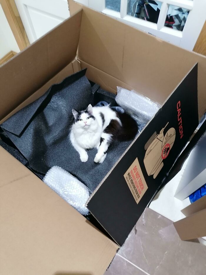 Tomé una pieza de mi nueva silla de la caja y de inmediato descubrí que no podría tomar más piezas