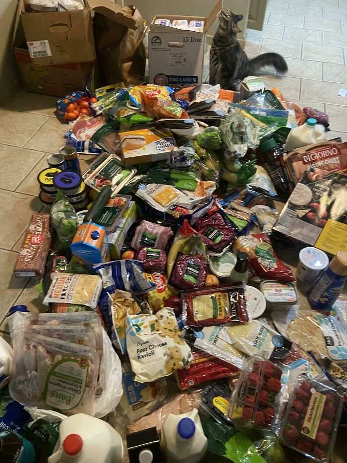 Otro botín de más de 500 dólares de mi contenedor de basura favorito. ¡Hace años que no necesito comprar comida! 